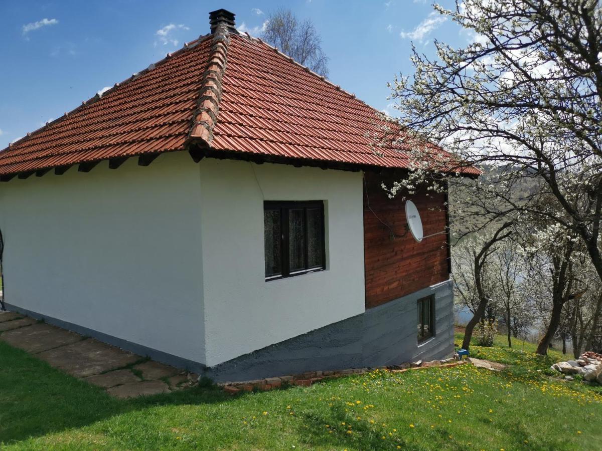 Uvac Griffon Villa Nova Varos Exterior photo